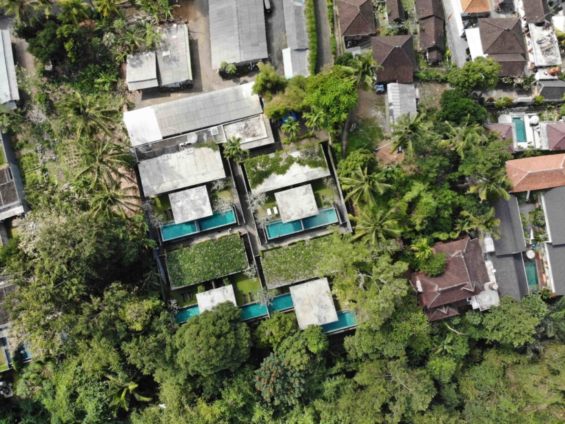 12 things to do in Bali! 12 things to do in Bali!
